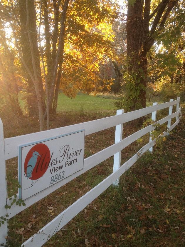 Miles River Guest House Easton Extérieur photo